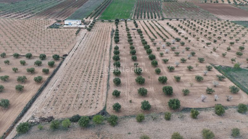 Foto 671582ae-7e4c-4625-835a-e37eeb79b617. Finca rústica a Jumilla