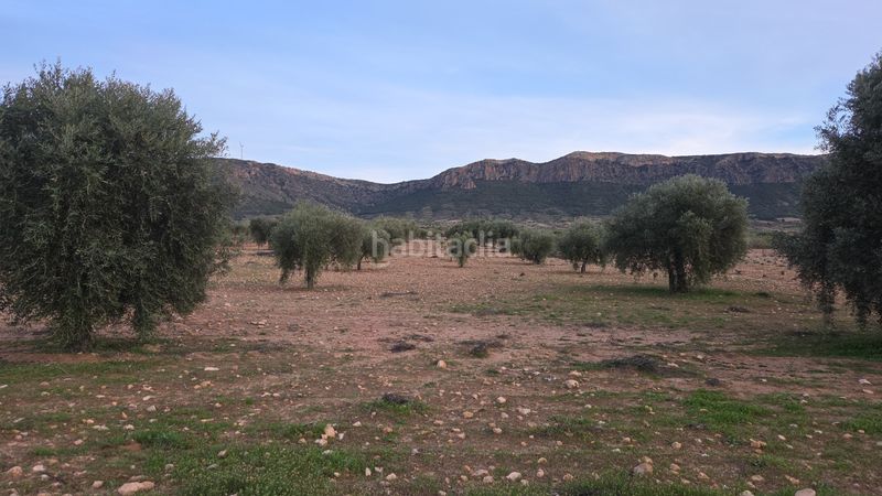 Foto ac25d331-de77-441e-b274-10d4ec6ba985. Finca rústica a Jumilla