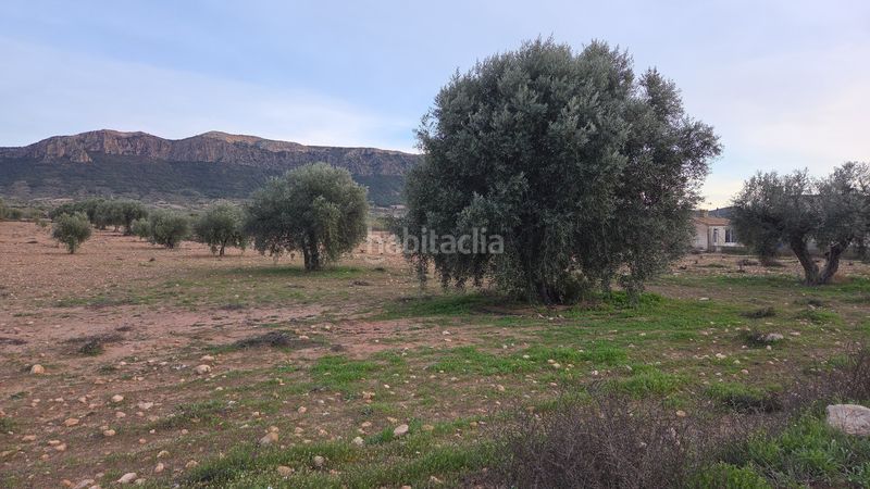 Foto ae8533d0-2b26-4d70-9057-af31d13369e7. Finca rústica a Jumilla