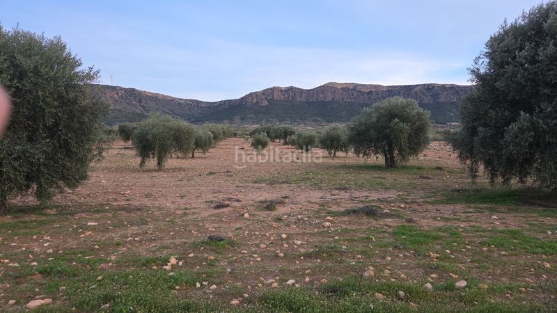 Foto d12c35ed-6a2a-4fa7-afbf-dded47112666. Finca rústica a Jumilla