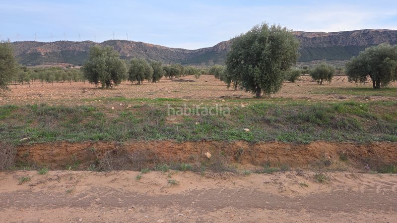 Foto e7244e36-e9f5-4da4-b6da-59743817a83f. Finca rústica a Jumilla