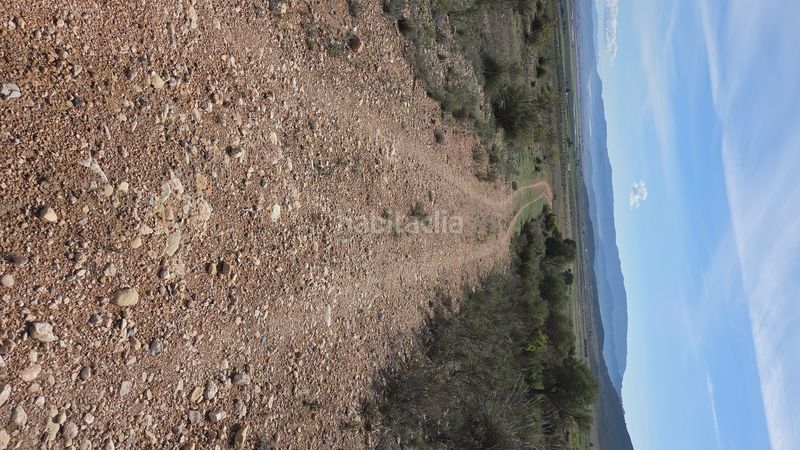 Foto 0422edb4-7619-4073-8a03-6247299e3770. Finca rústica a Yecla