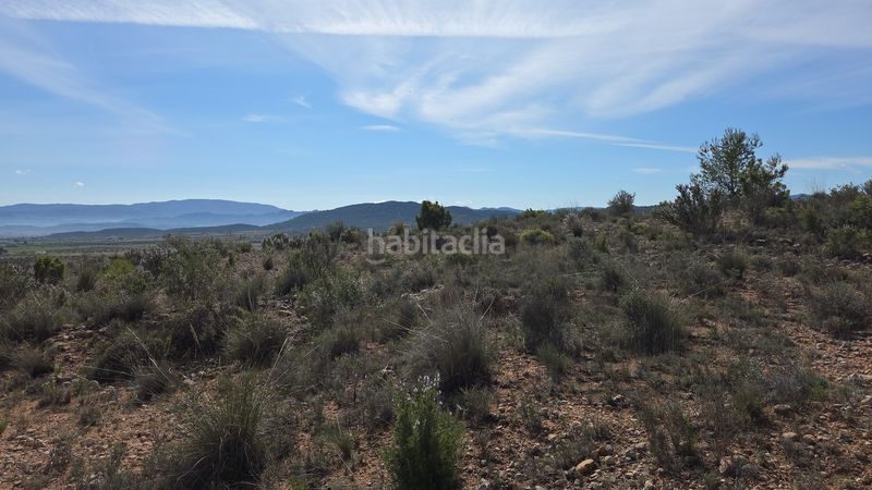 Foto 43a2bc21-2df4-4a12-9ec3-6879b6f9ce38. Finca rústica a Yecla