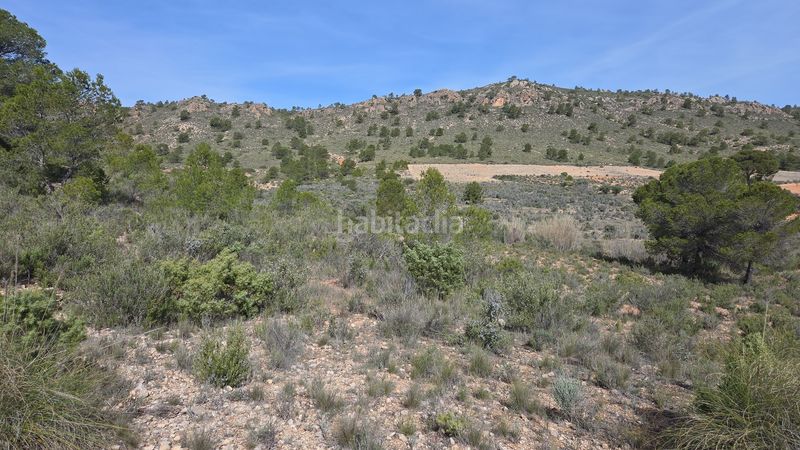 Foto c37508c5-ff11-4f15-a7e3-12441290b2bd. Finca rústica a Yecla