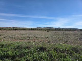 Fondo rustico in Yecla