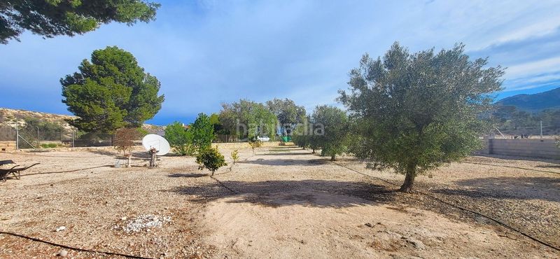 Foto b9bf577a-47c8-4471-898b-4086c6a04178. Casale in Monòver