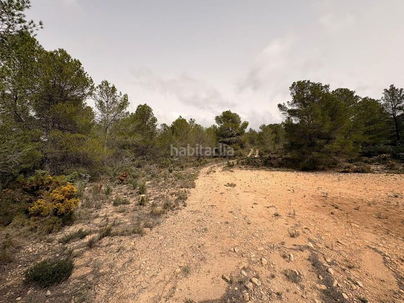 Foto 55fd1709-1bc4-44f6-a03e-9ea951d241c9. Finca rústica a Petrer