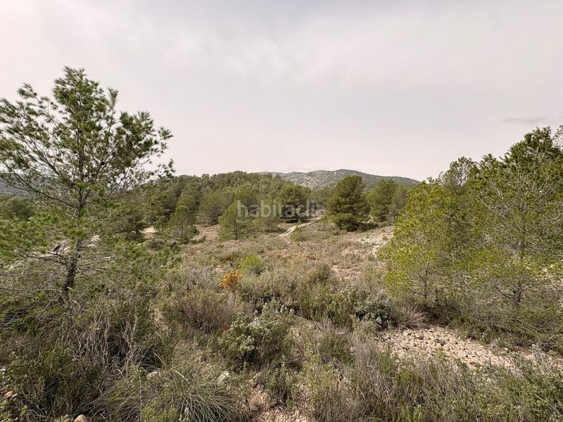Foto 5b860c98-2b6a-4ced-845d-a10985243163. Finca rústica a Petrer