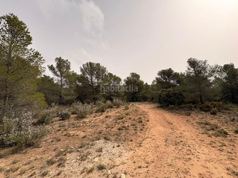 Foto bfa8ce26-e6c4-4397-9db8-5fdcd3a96f7f. Finca rústica a Petrer