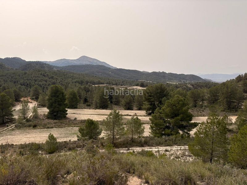 Foto d8491b04-3049-407c-949e-aa5b7fa5d119. Finca rústica a Petrer