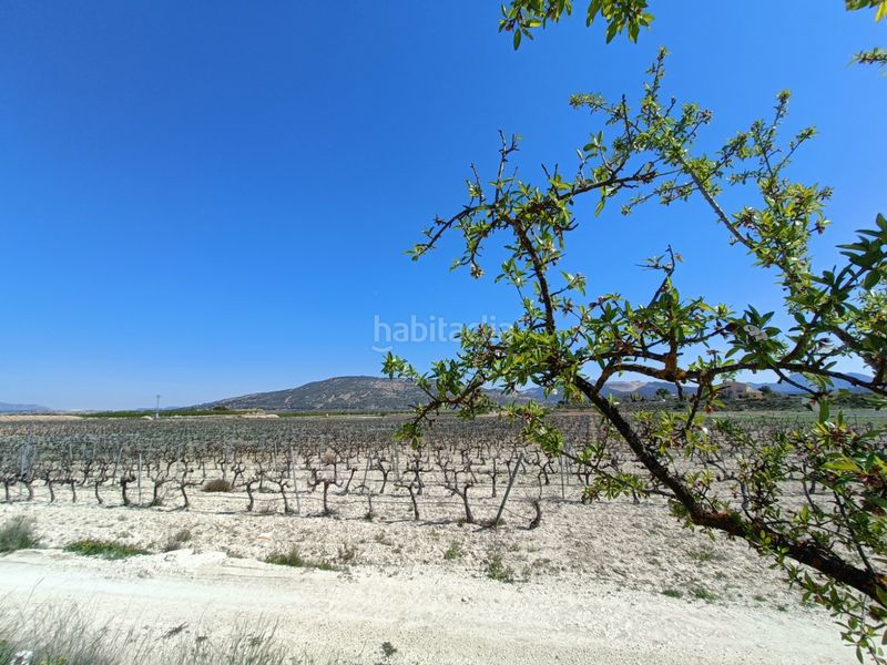 Foto a91bee80-e091-41c6-b83d-e8620f2a133e. Chalet en Pinoso