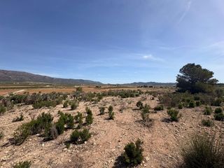 Landgut in Pinoso