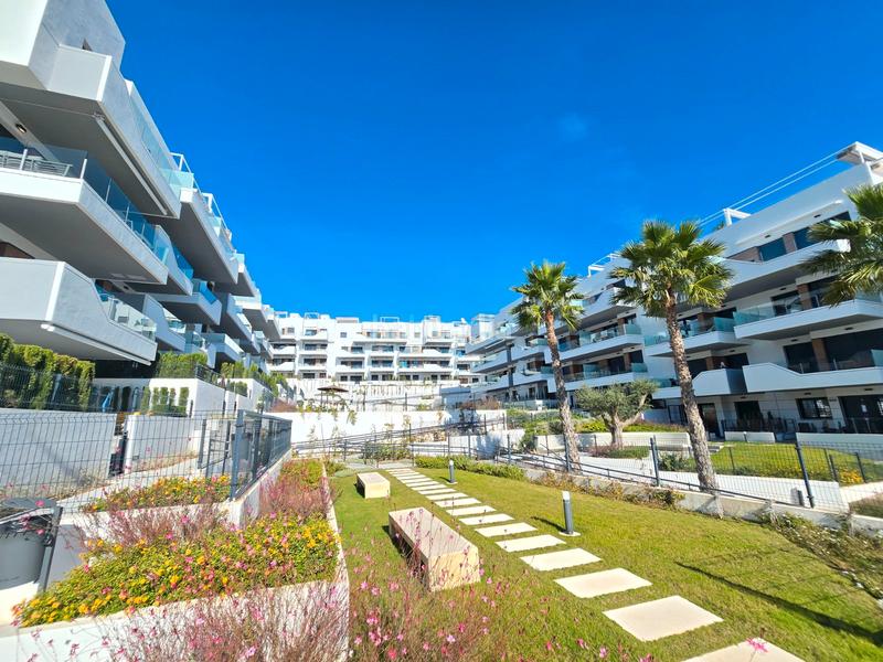 Foto 57e38838-59e1-419e-babc-fbc95eebed1f. Ground floor with parking pool in Villamartín-Las Filipinas Orihuela