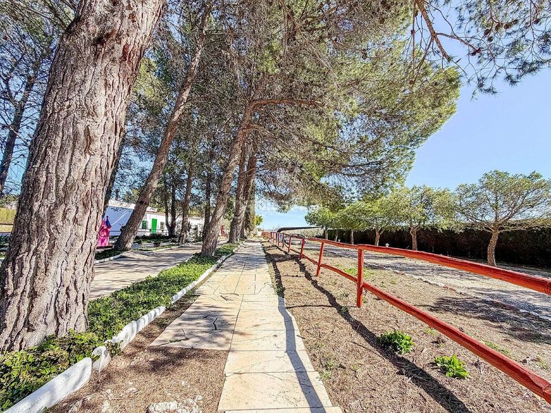 Foto dc9e4f86-cf98-4e65-8bc5-538afef24e61. Masia a Pinoso