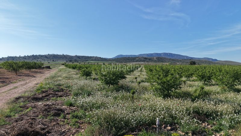 Foto 00cc82fb-6087-462f-b4f1-9b7a0585eea8. Finca rústica a Yecla