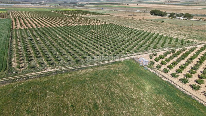 Foto 1ac0f117-d072-489d-b8af-6e4b061247c7. Finca rústica a Yecla