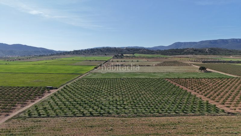 Foto 29bf307e-c3a0-467c-9732-8a764b83a92e. Finca rústica a Yecla