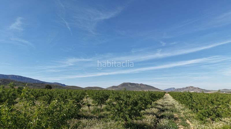 Foto 9ad72263-dd23-4d41-ba05-1e78ec330e24. Finca rústica a Yecla