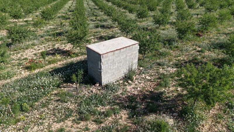 Foto e76a8bdd-1513-4284-ab20-4b4035fe40f0. Finca rústica a Yecla