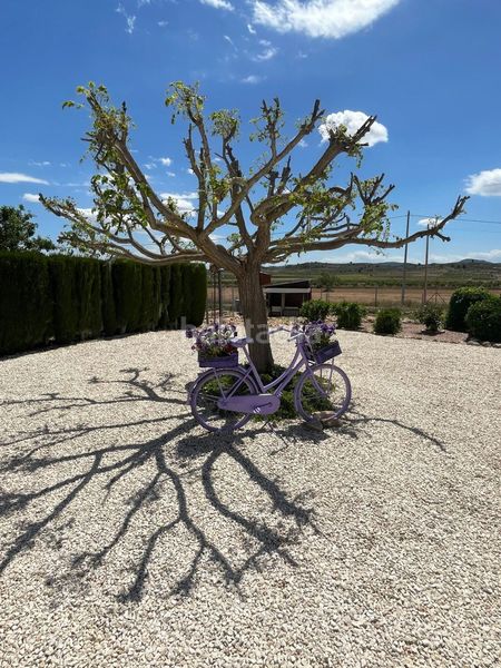 Foto b83ca1a9-5f97-4d13-9227-702578de7d7b. Chalet en Pinoso