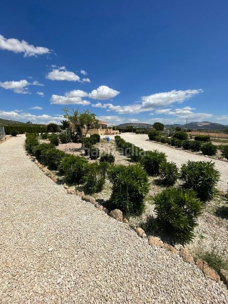 Foto f8c614f6-b2b6-4ebc-ad40-8993c298a05d. Chalet en Pinoso