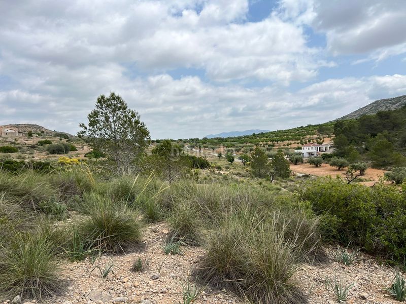 Foto e33f390f-4545-450b-8424-c116a14373f9. Finca rústica a Hondón de las Nieves