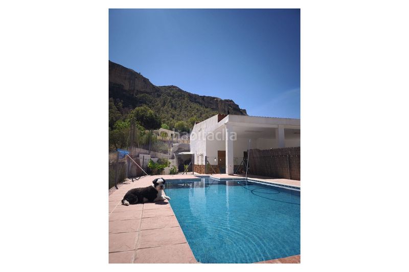 Foto 1c97f84a-7a4c-4459-b237-4f382180ae31. Masia a Crevillente