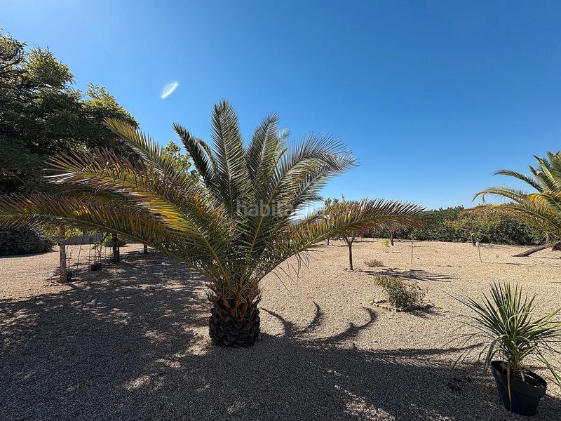 Foto 0e210591-8b0c-46cc-8332-9d86384af1fd. Chalet con camino riscaldamento piscina in Biar