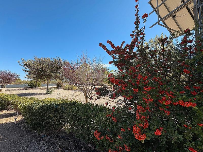 Foto ac94956d-ac2d-472e-b04a-e68ac4b58e2f. Chalet con camino riscaldamento piscina in Biar