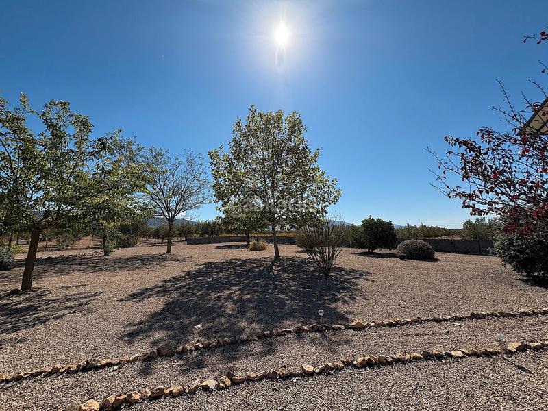 Foto bd9d2dbc-8b3e-44f1-8fde-036400126d4d. Chalet con camino riscaldamento piscina in Biar