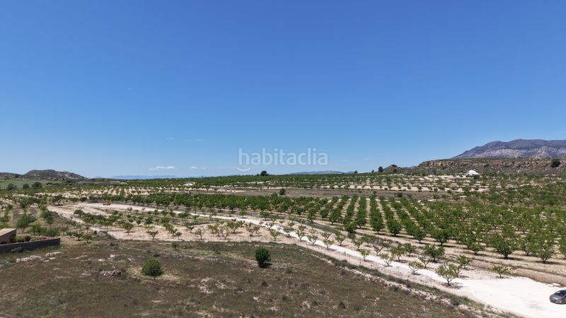 Foto 343ea53e-beaf-479c-8344-a86e37530b9b. Finca rústica a Pinoso