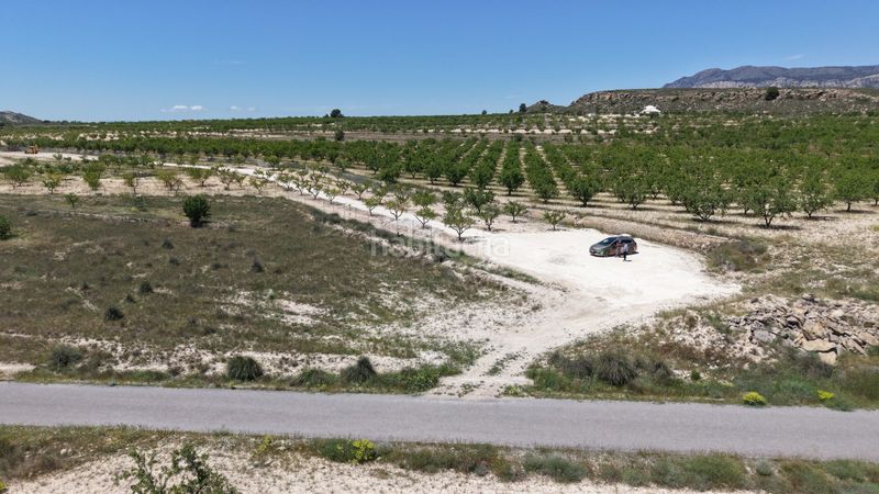 Foto 41bdfb80-6c25-45d5-b60a-5bae6b0d35d9. Finca rústica a Pinoso