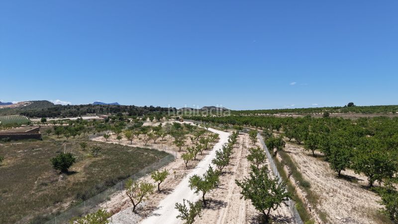 Foto 723d180e-a990-46a6-a99d-1f6232997646. Finca rústica a Pinoso