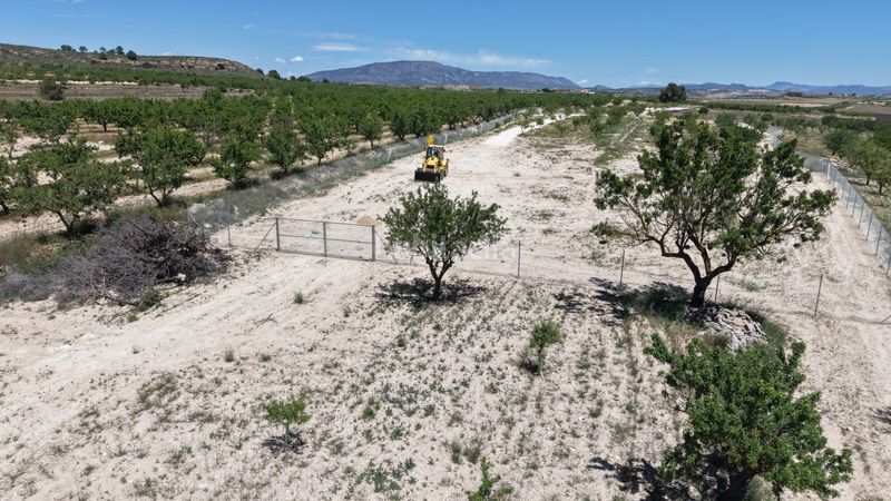 Foto babe02c3-9ad6-4f73-9113-113361161ba7. Finca rústica a Pinoso