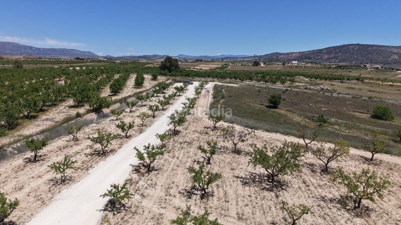 Foto c2224642-a614-4940-9446-49d8b72480c4. Finca rústica a Pinoso