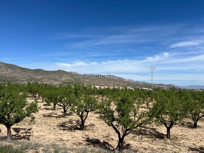 Foto 0ab4d53a-8ba7-4d18-ab89-a00629eed935. Finca rústica a Hondón de los Frailes