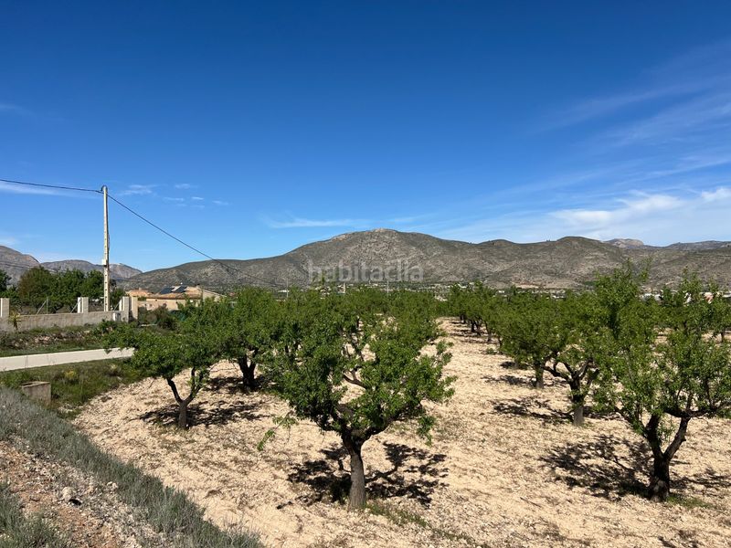 Foto 1084e783-bfe5-4424-919c-9053785a2b90. Finca rústica a Hondón de los Frailes