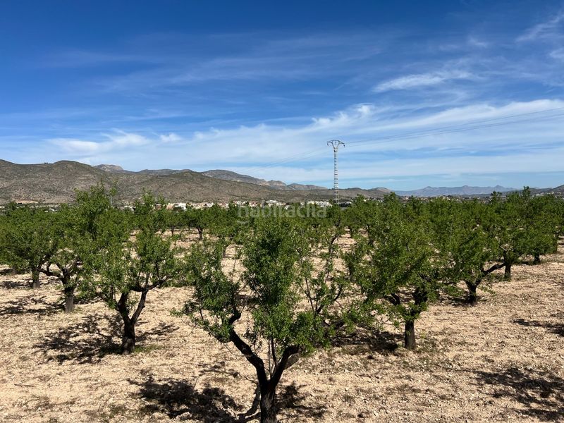 Foto 880bae03-4289-4283-85f5-df01946c98e3. Finca rústica a Hondón de los Frailes