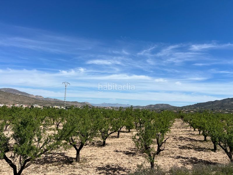 Foto d679dd97-c0bf-45b2-aaaa-3beea7880191. Finca rústica a Hondón de los Frailes