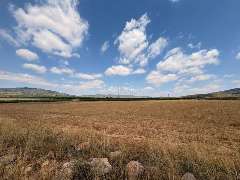 Foto 4291f679-8bb1-4d69-b79a-49fa291f0dc0. Xalet a Pinoso