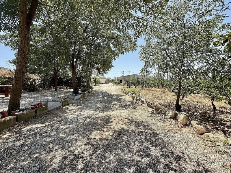 Foto b07449c1-4256-4e80-89b8-30c5442602d1. Masia a Las Cruces Villena