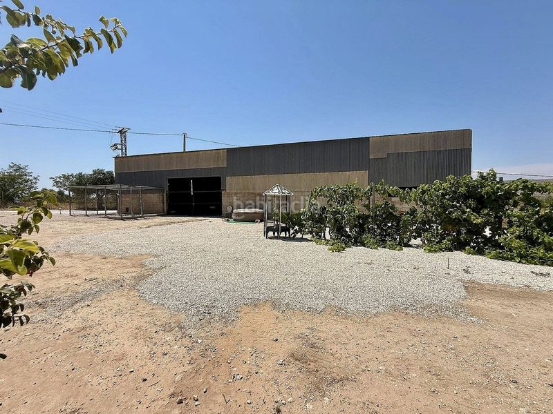 Foto eabfad90-bebd-4418-ad76-c67846cb8edd. Masia a Las Cruces Villena