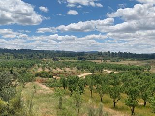 Finca rústica a Ayora