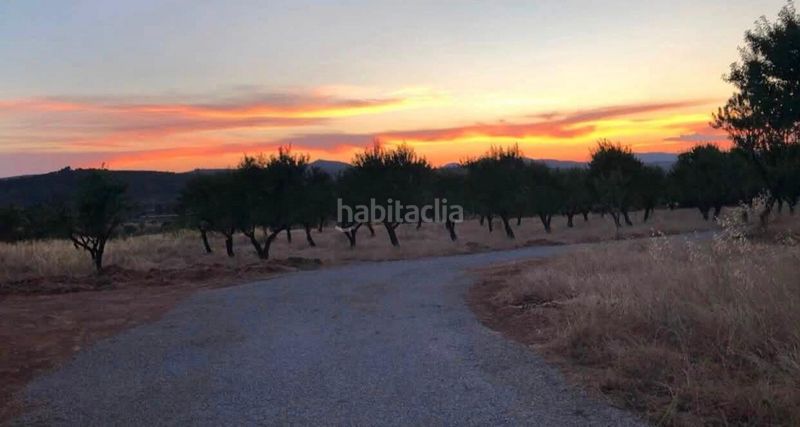 Foto 4a269276-00c1-4d67-8181-96eb5e580bc3. Finca rústica a Ayora
