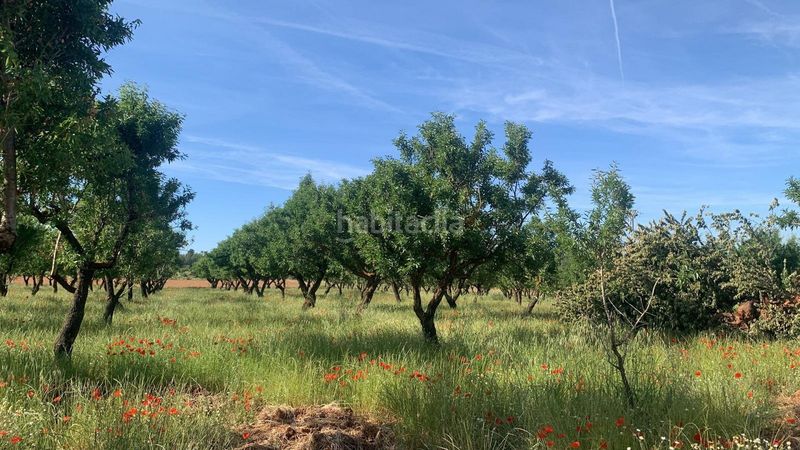 Foto 89aa1ec6-6719-4331-80b1-755c4f92086e. Finca rústica a Ayora