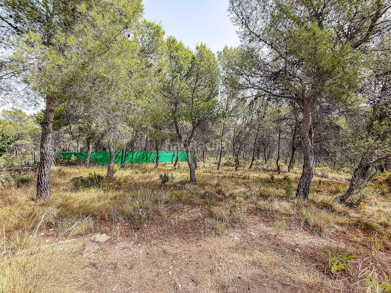 Foto a50354fe-c00f-4e32-99bb-5c3fadb36b3a. Masia a Castalla
