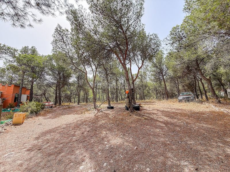 Foto f3225c82-13e7-4498-baf6-d90216b5547e. Masia a Castalla