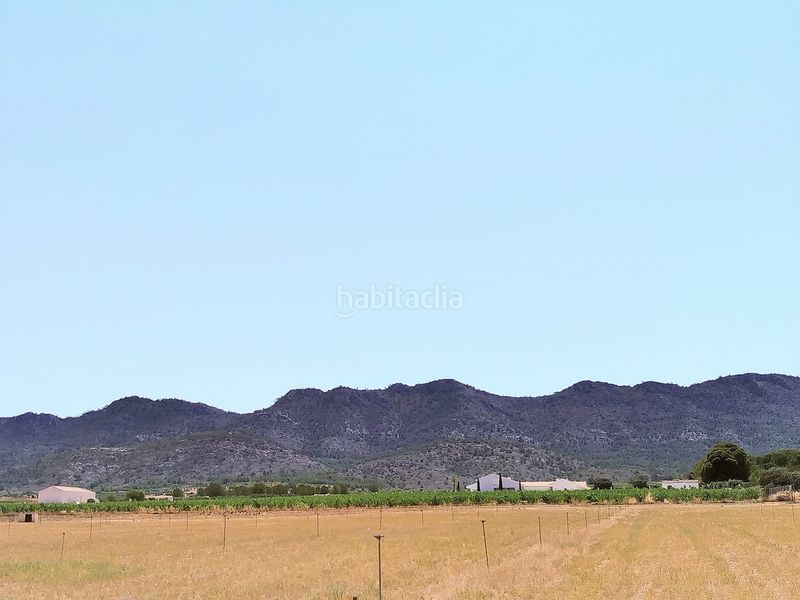 Foto 904857d5-e2e6-4ed8-b9f1-d2b6a38dfd9d. Masia a Yecla