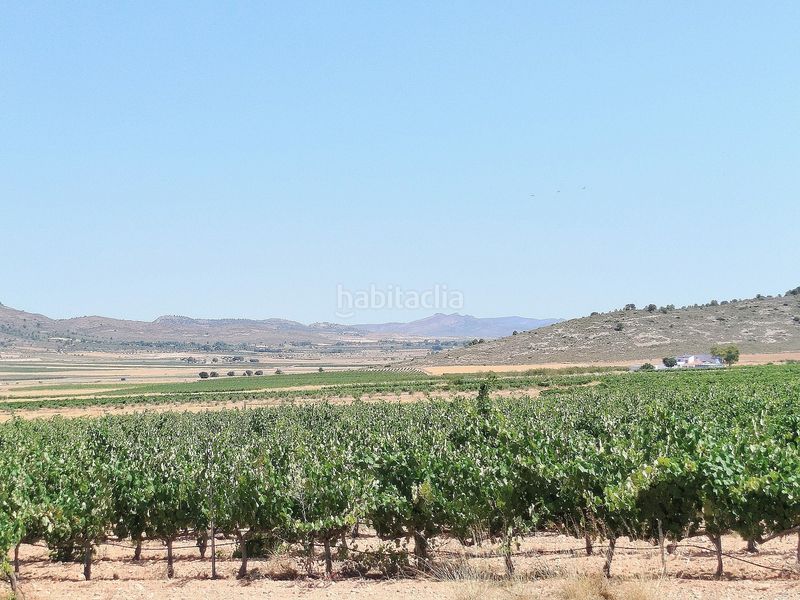 Foto f8019b04-d558-45ce-abbf-de405cca0bd8. Masia a Yecla