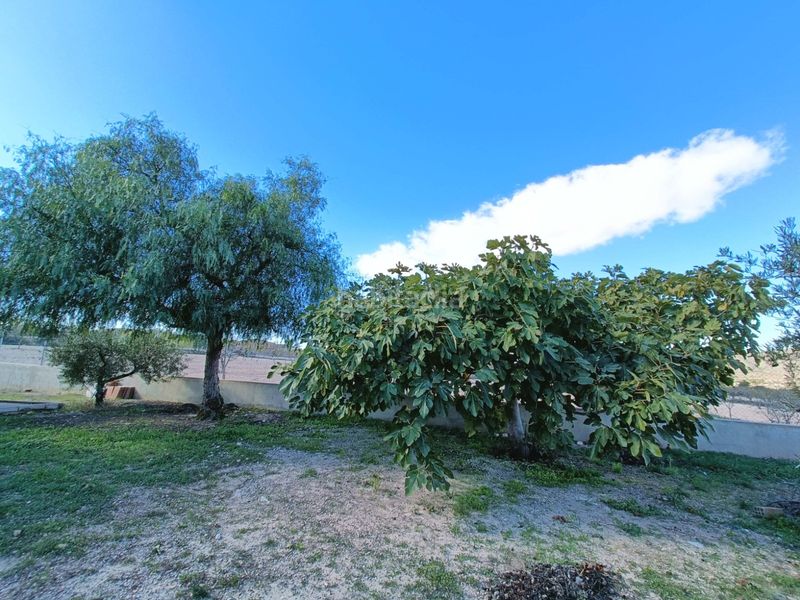 Foto d715128e-053e-41b0-b4a9-fc152534474d. Chalet dans Hondón de los Frailes
